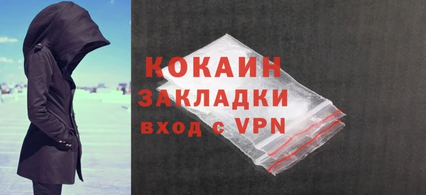 спиды Богородицк