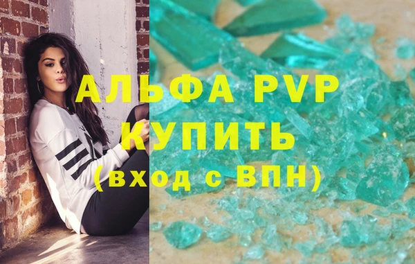 спиды Богородицк