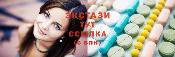 спиды Богородицк