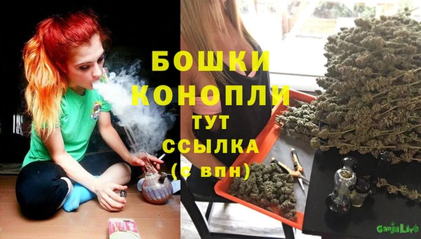 спиды Богородицк