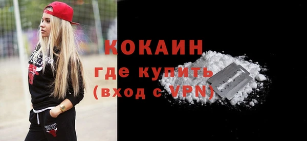 спиды Богородицк