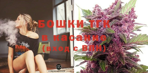 спиды Богородицк