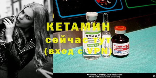 спиды Богородицк