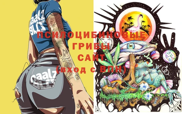 соль курить ск Богданович