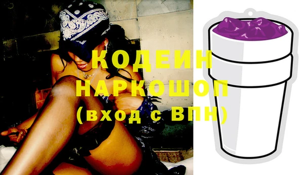 спиды Богородицк