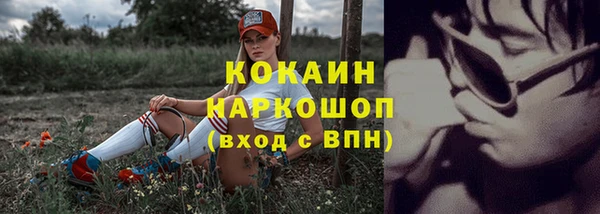 соль курить ск Богданович