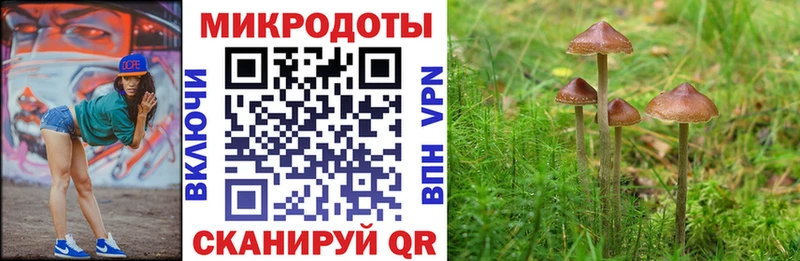 Купить  Алатырь  Галлюциногенные грибы Cubensis 